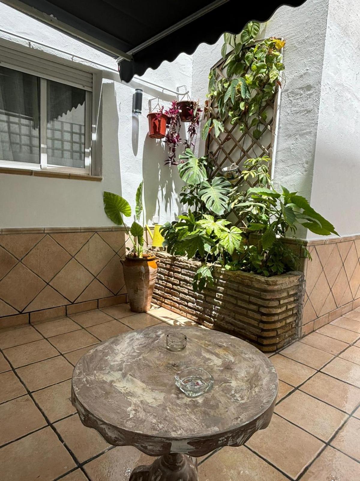 Panther Home Pureza Seville Ngoại thất bức ảnh